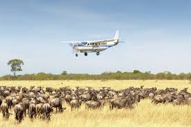 6 days Mara river north serengeti luxury safari
