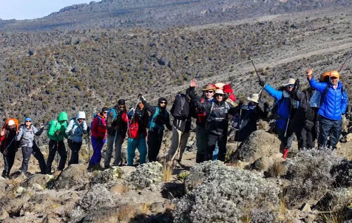 kilimanjaro day hiking tour for 2026/2027