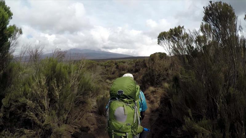 Mti Mkubwa to Shira Camp