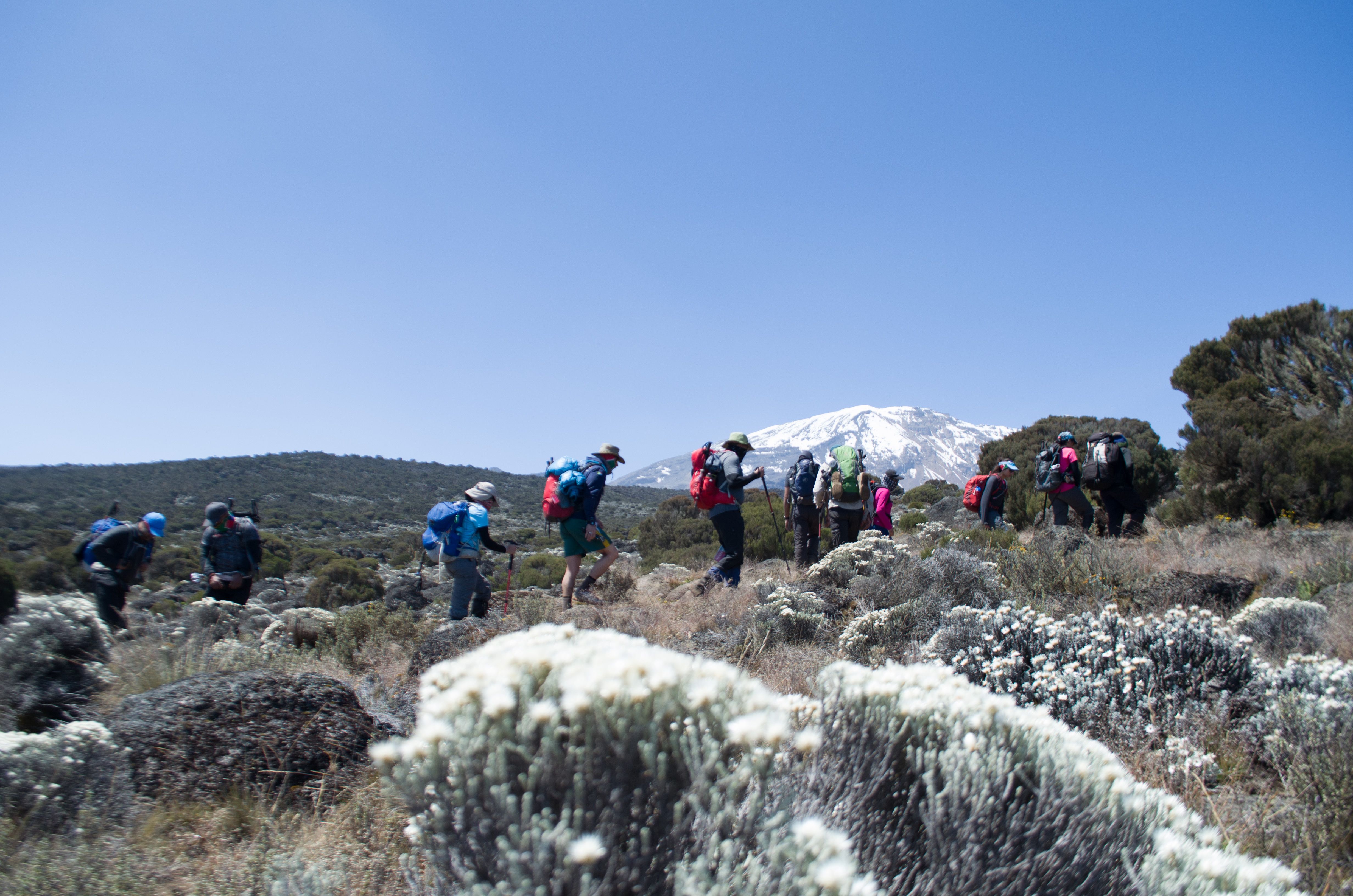 Trekkers on the classic Machame trail up Mount Kilimanjaro