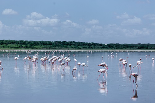 9-Day Kilimanjaro Tour